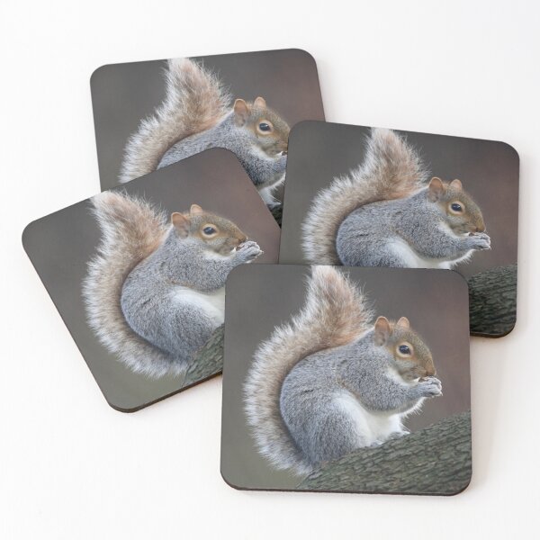 Item preview, Cute Squirrel designed and sold by jmwilesphotos.