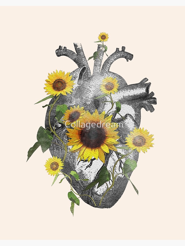 Lámina rígida «Corazón humano con girasol, flores amarillas para un corazón  floreciente, efecto acuarela» de Collagedream | Redbubble