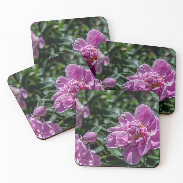 Item preview, Pink Blooming Peony's designed and sold by Alanafinephoto.