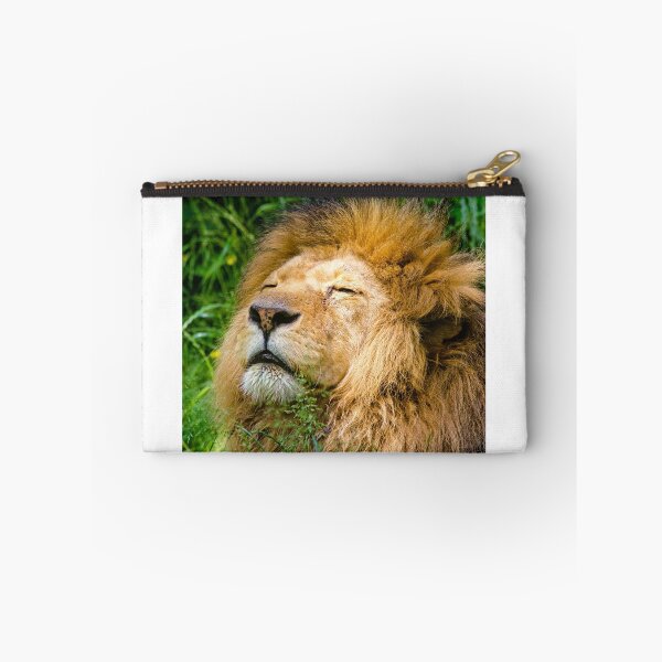 Item preview, Lion takes sunbath designed and sold by PurefireDesigns.
