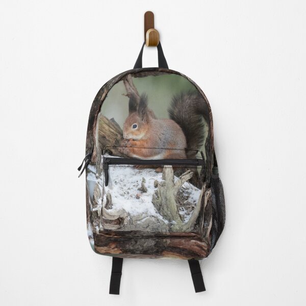 Item preview, Framed in the rhizome. Red squirrel designed and sold by Jouko Lehto Photography.