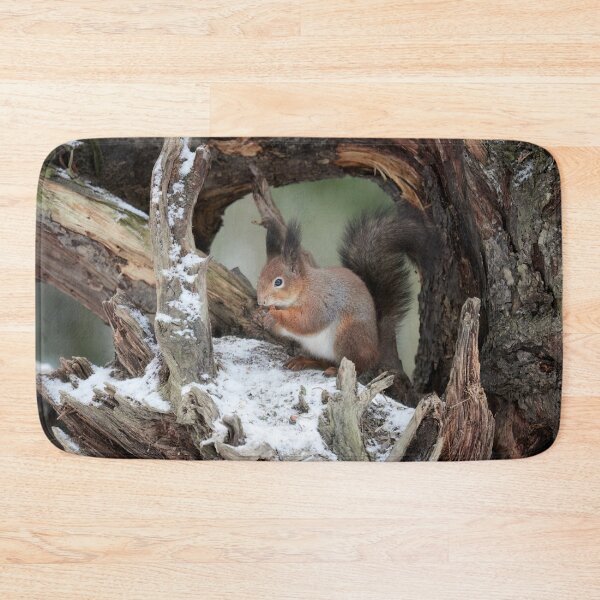 Item preview, Framed in the rhizome. Red squirrel designed and sold by Jouko Lehto Photography.