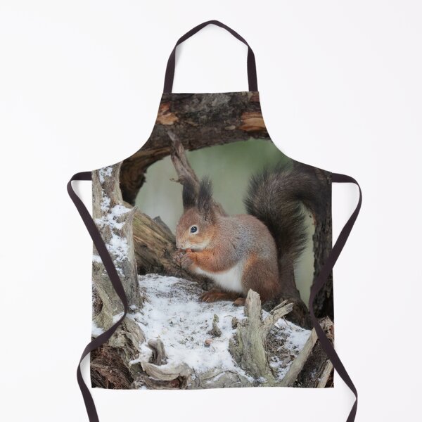 Item preview, Framed in the rhizome. Red squirrel designed and sold by Jouko Lehto Photography.