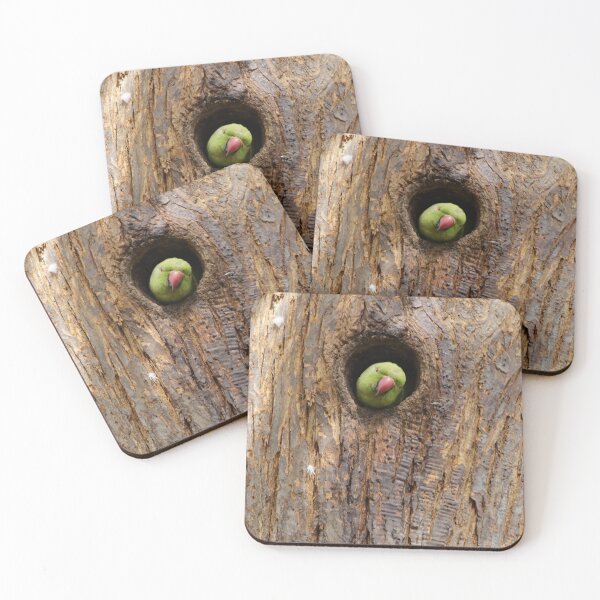 Item preview, Peekaboo! designed and sold by jmwilesphotos.