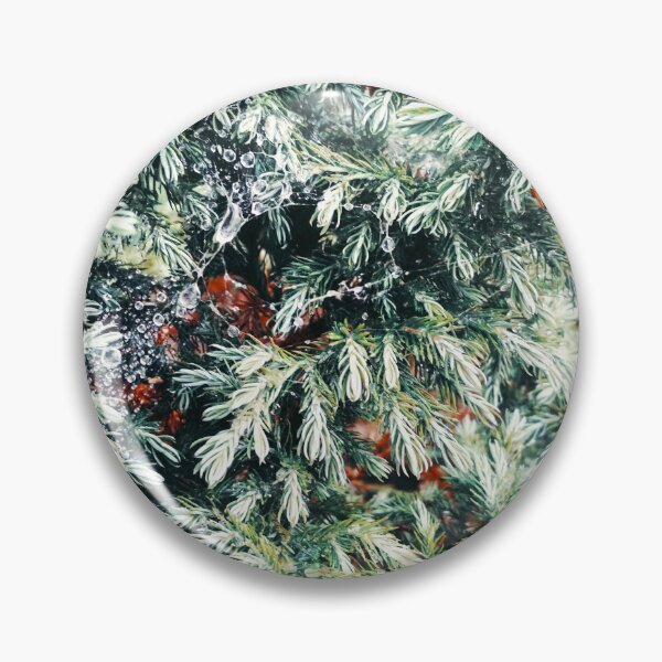 Item preview, Fir tree covered with drops of rain designed and sold by helenkaiy.