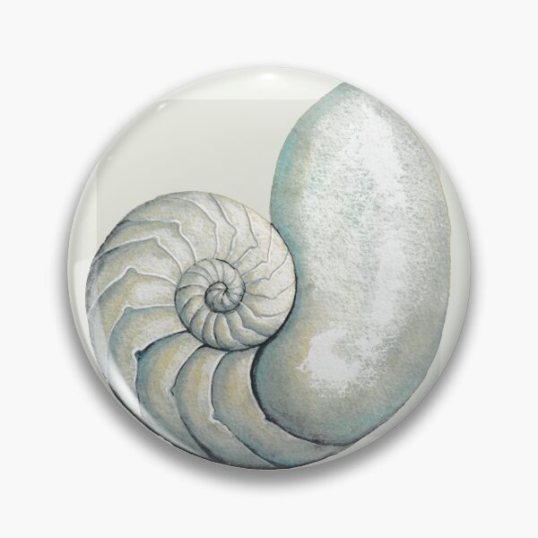 Item preview, Nautilus sea shell in neutral designed and sold by LisaLeQuelenec.