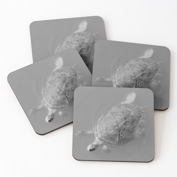 Item preview, Vivacious Turtle of Victoria Point designed and sold by Geoff Treagus.