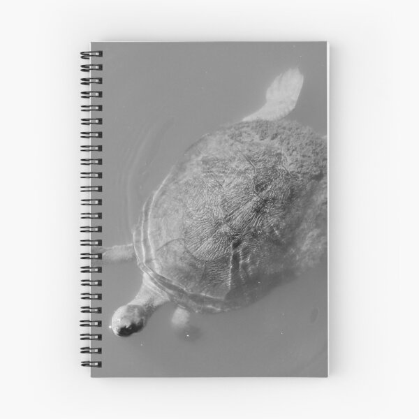 Item preview, Vivacious Turtle of Victoria Point designed and sold by Geoff Treagus.