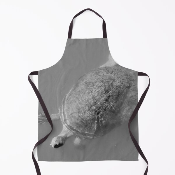 Item preview, Vivacious Turtle of Victoria Point designed and sold by Geoff Treagus.
