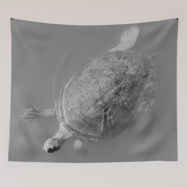 Item preview, Vivacious Turtle of Victoria Point designed and sold by Geoff Treagus.
