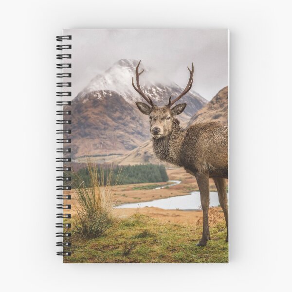 Item preview, Red deer stag designed and sold by PaulBullen.