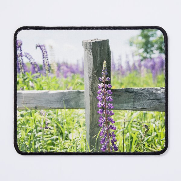 Item preview, Split Rail Fence and Purple Lupines designed and sold by Alanafinephoto.