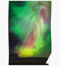 Große schöne bunte Nordlichter Poster