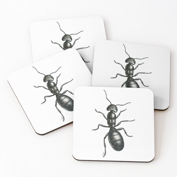 Aperçu de l'œuvre Fourmi Camponotus vagus créée et vendue par Florence Dellerie.