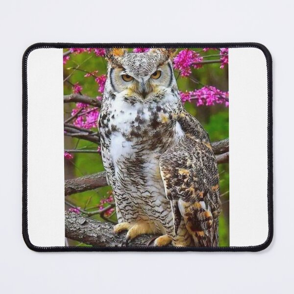 Item preview, owl on a tree designed and sold by Clothes and Stickers .
