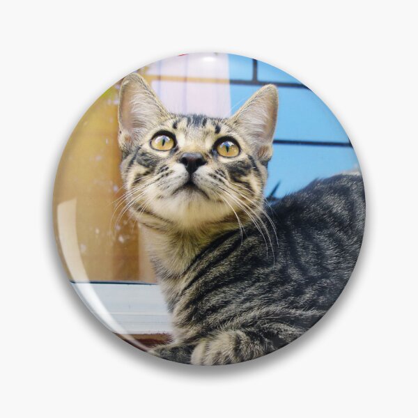 Item preview, Street Cats of Skopelos #2 designed and sold by SMP-Shop.