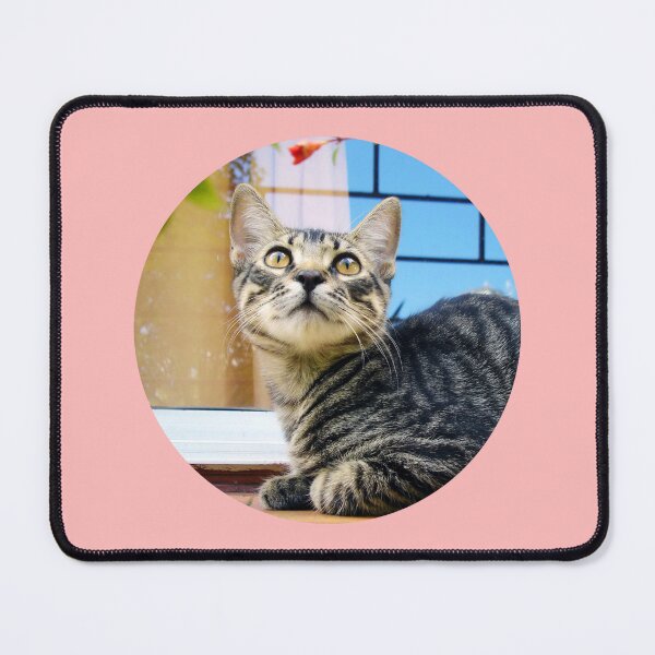 Item preview, Street Cats of Skopelos #2 designed and sold by SMP-Shop.