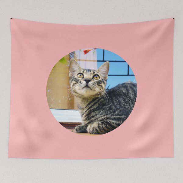 Item preview, Street Cats of Skopelos #2 designed and sold by SMP-Shop.