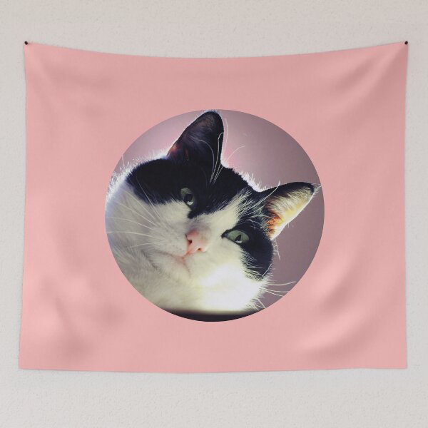Item preview, Street Cats of Skopelos #3 designed and sold by SMP-Shop.