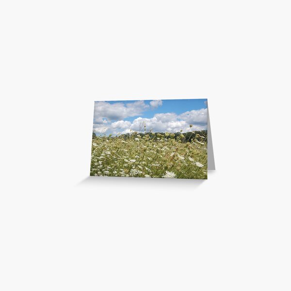 St John's Marsh Greeting Card