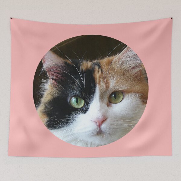 Item preview, Street Cats of Skopelos #4 designed and sold by SMP-Shop.