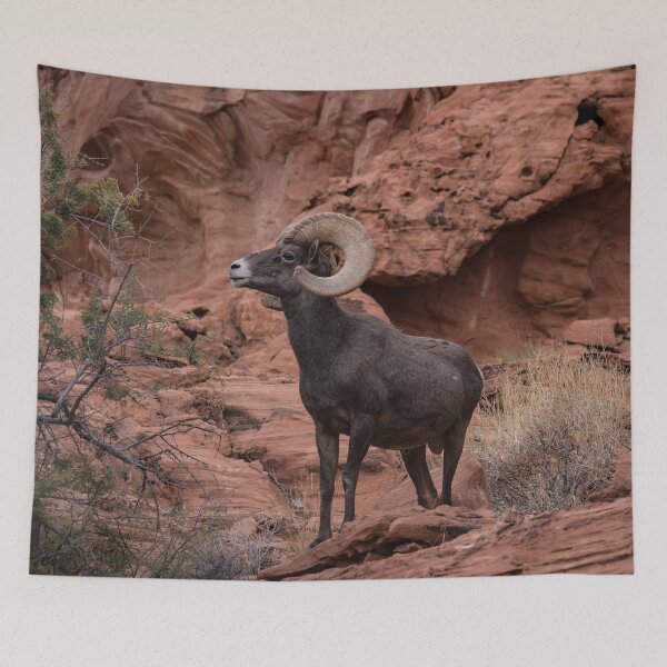 Item preview, Desert Bighorn, Valley of Fire - III designed and sold by AlsknMommaBear2.