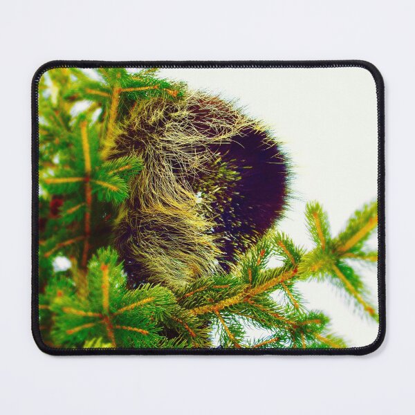Item preview, Porcupine in a Tree designed and sold by MaxBroxson.