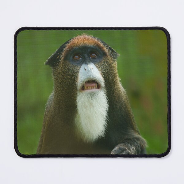 Item preview, De Brazza monkey designed and sold by rawshutterbug.