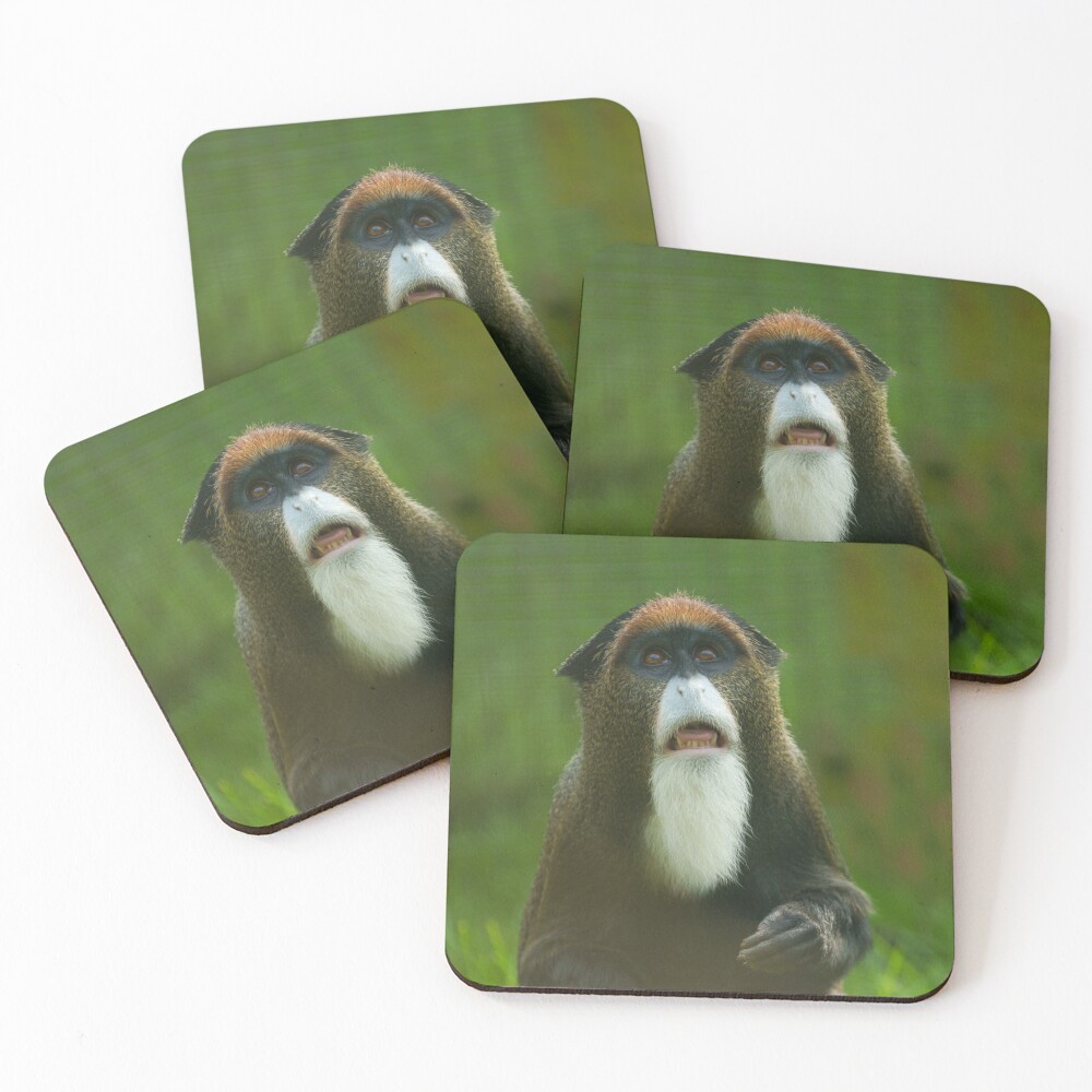 Item preview, Coasters (Set of 4) designed and sold by rawshutterbug.