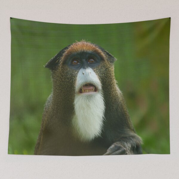 Item preview, De Brazza monkey designed and sold by rawshutterbug.