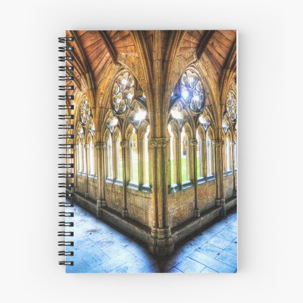 Item preview, Lincoln Cathedral Cloisters 2  designed and sold by Paul Thompson Photography.