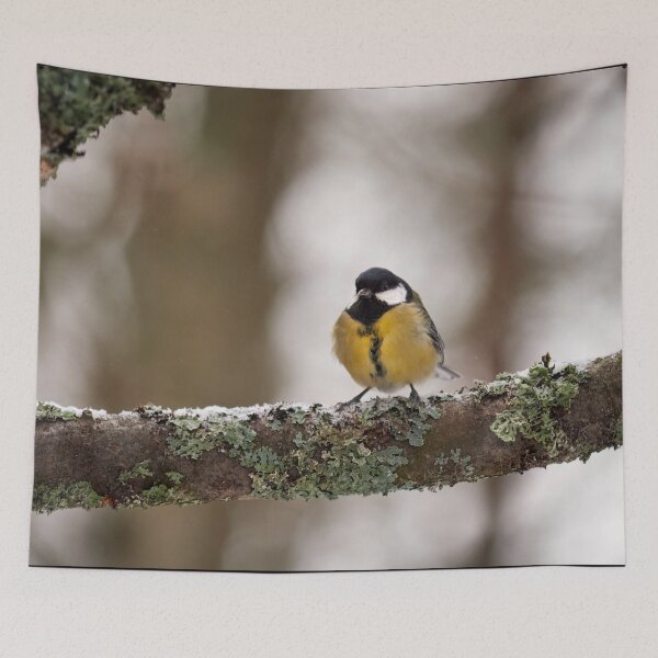 Item preview, Just the one. Great tit designed and sold by Jouko Lehto Photography.