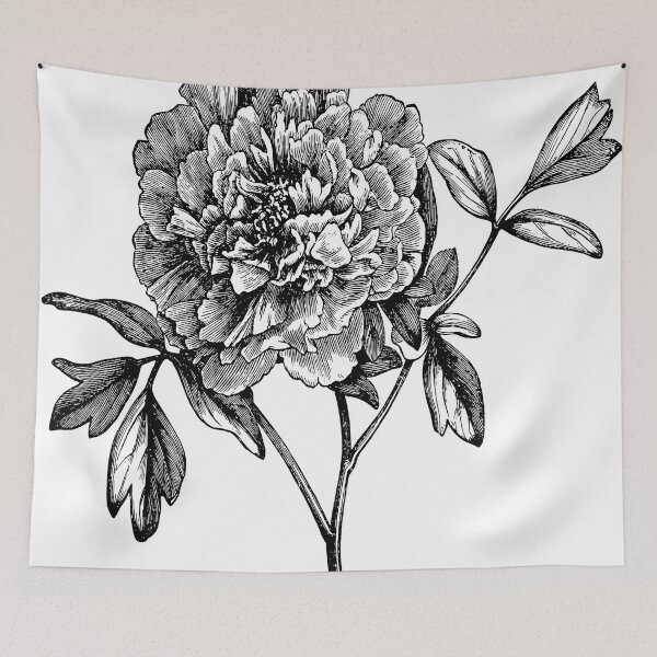 Item preview, "Elegant Elegance" Vintage Peony Wall Art - nature wall art, botanical flowers home decor, save the flowers,  vintage peony, Prints designed and sold by rdreubss7.