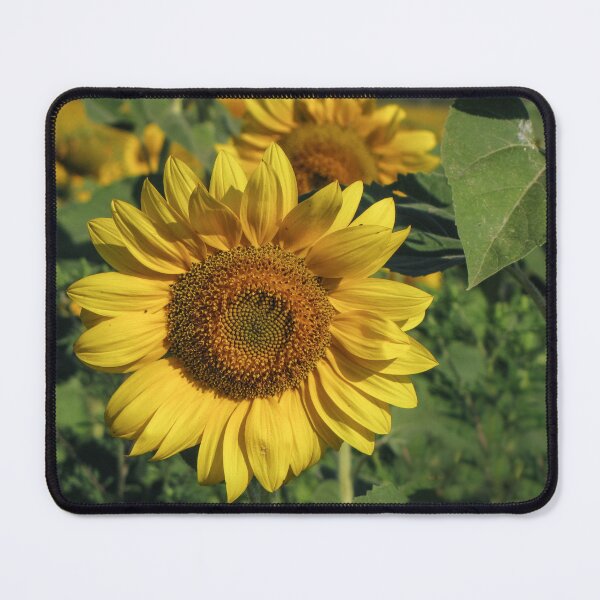 Item preview, Sunflower designed and sold by Irina777.