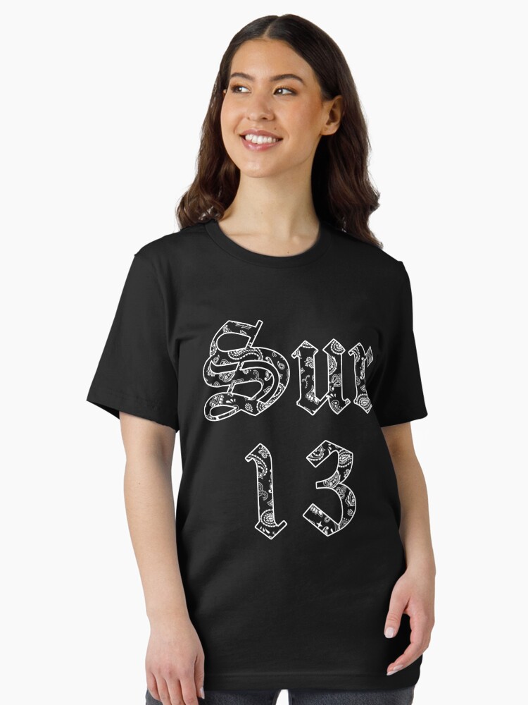 SUREÑOS13です。 Sur 13 Surenos