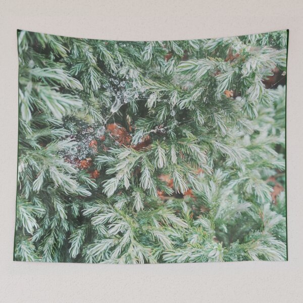 Item preview, Fir tree covered with drops of rain designed and sold by helenkaiy.