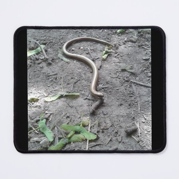 Item preview, Slow Worm designed and sold by SandersSP-Merch.