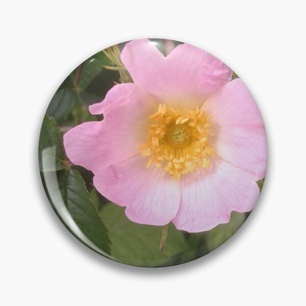 Item preview, Dog Rose designed and sold by SandersSP-Merch.