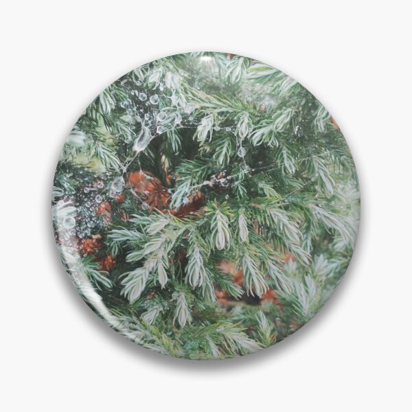 Item preview, Fir tree covered with drops of rain designed and sold by helenkaiy.