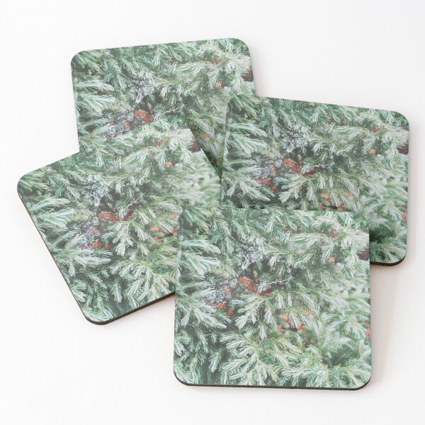 Item preview, Fir tree covered with drops of rain designed and sold by helenkaiy.