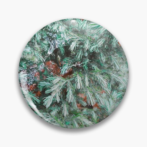 Item preview, Fir tree covered with drops of rain designed and sold by helenkaiy.