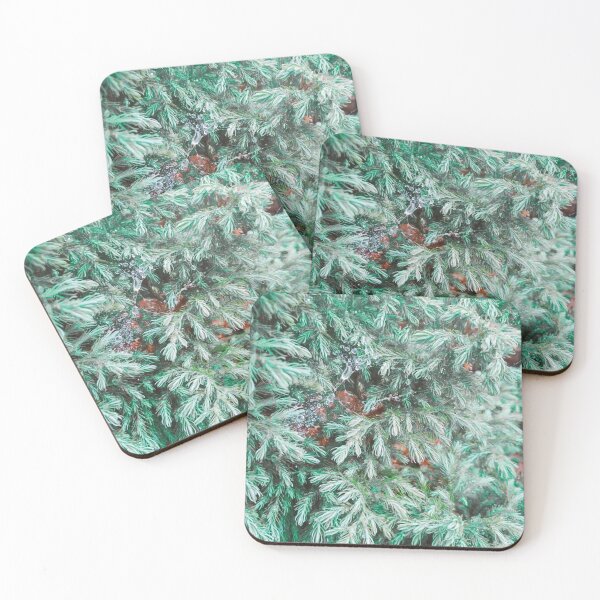 Item preview, Fir tree covered with drops of rain designed and sold by helenkaiy.