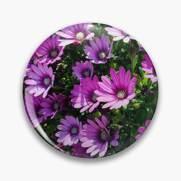 Item preview, African daisies designed and sold by Francespoppy.