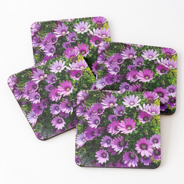 Item preview, African daisies designed and sold by Francespoppy.