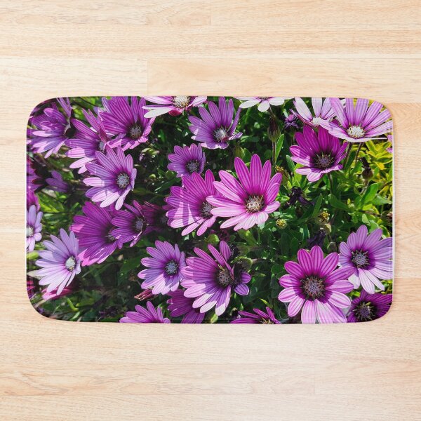Item preview, African daisies designed and sold by Francespoppy.