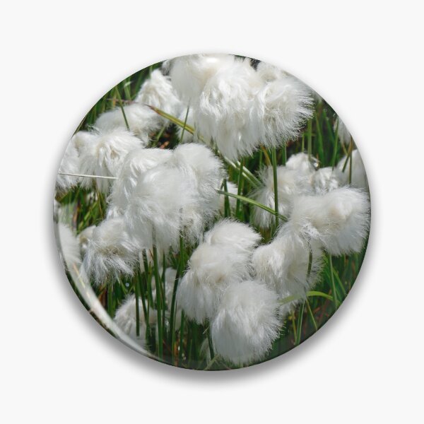 Item preview, nature, flora, shrub, white, photography, Bebicervin designed and sold by BebiCervin.