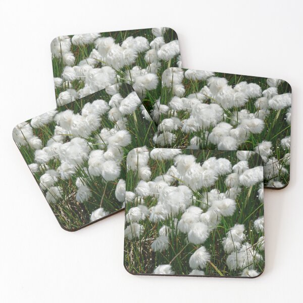 Item preview, nature, flora, shrub, white, photography, Bebicervin designed and sold by BebiCervin.