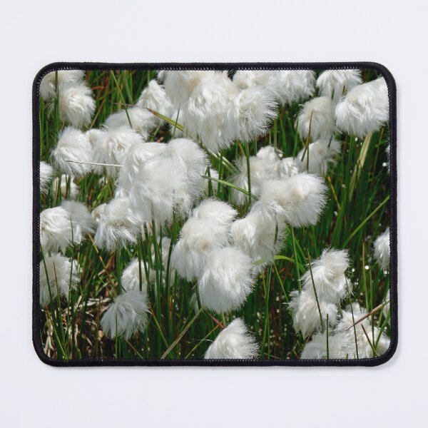 Item preview, nature, flora, shrub, white, photography, Bebicervin designed and sold by BebiCervin.