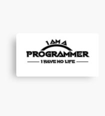 Programmer Canvas Print
