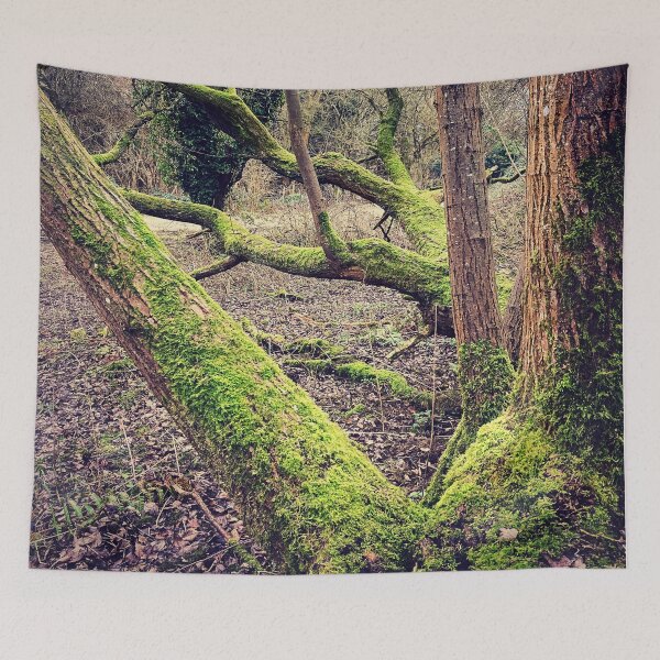 Item preview, Belleza de la naturaleza designed and sold by ScenicViewPics.